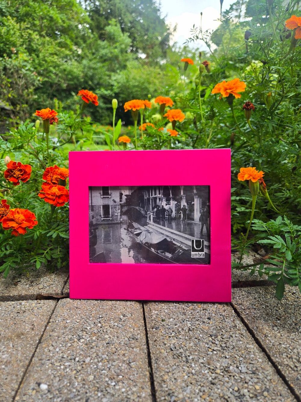 Umbra Hot Pink Picture Frame Magenta Fuchsia Modern Minimalist